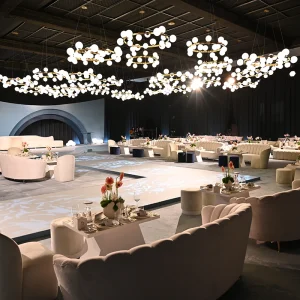 Lights Sounds, Entertainment (1)